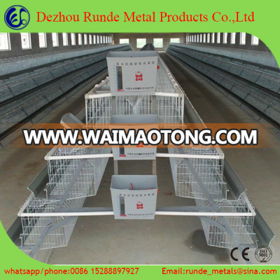 Poultry cage/chicken layer cage /quail cage for sale