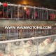 hot selling cheapest price functional battery cage for chicken egg layers