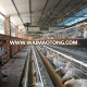 Free sample for top quality chicken feed ingredien